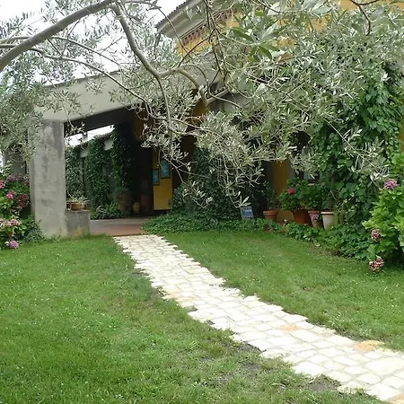 Le Ninfee-2